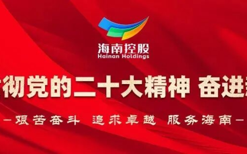 海南控股智慧党建管理系统顺利通过竣工验收